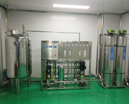 口罩車間0.5噸雙級反滲透純化水設(shè)備